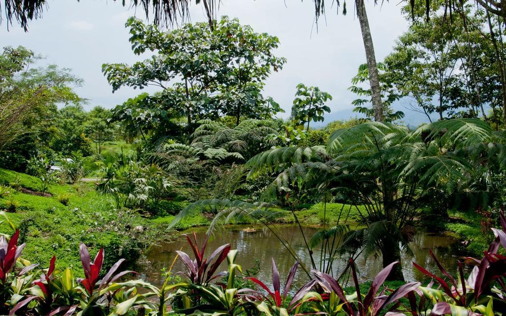 Huasquila Amazon Lodge Cotundo Exterior photo