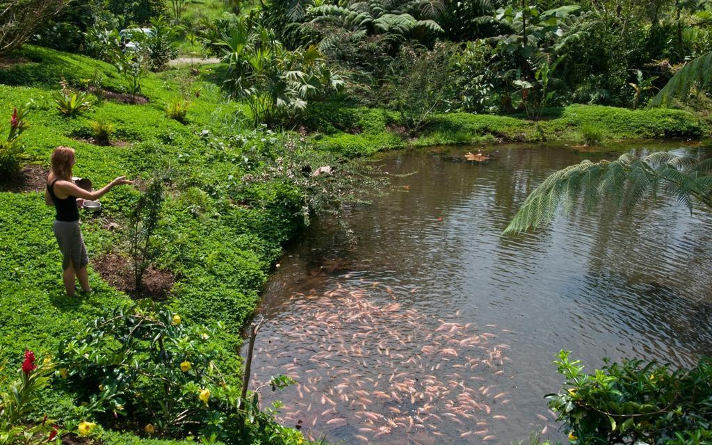 Huasquila Amazon Lodge Cotundo Exterior photo