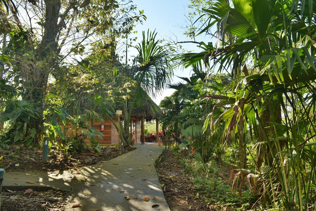 Huasquila Amazon Lodge Cotundo Exterior photo