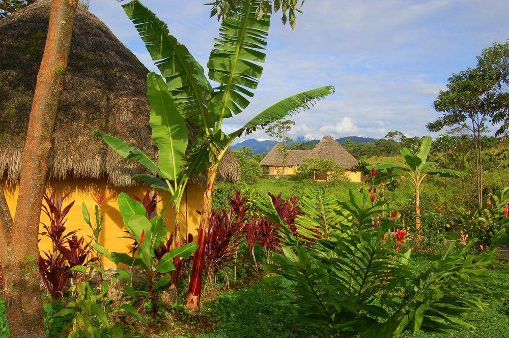 Huasquila Amazon Lodge Cotundo Exterior photo