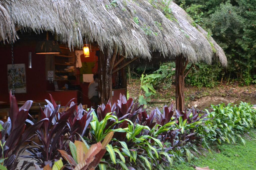 Huasquila Amazon Lodge Cotundo Exterior photo