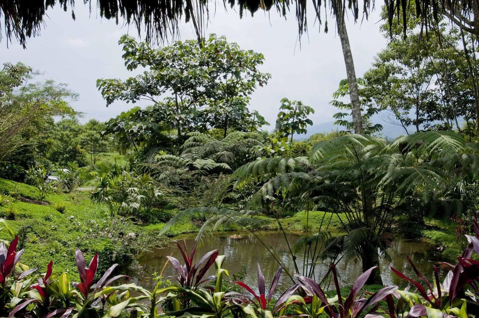 Huasquila Amazon Lodge Cotundo Exterior photo