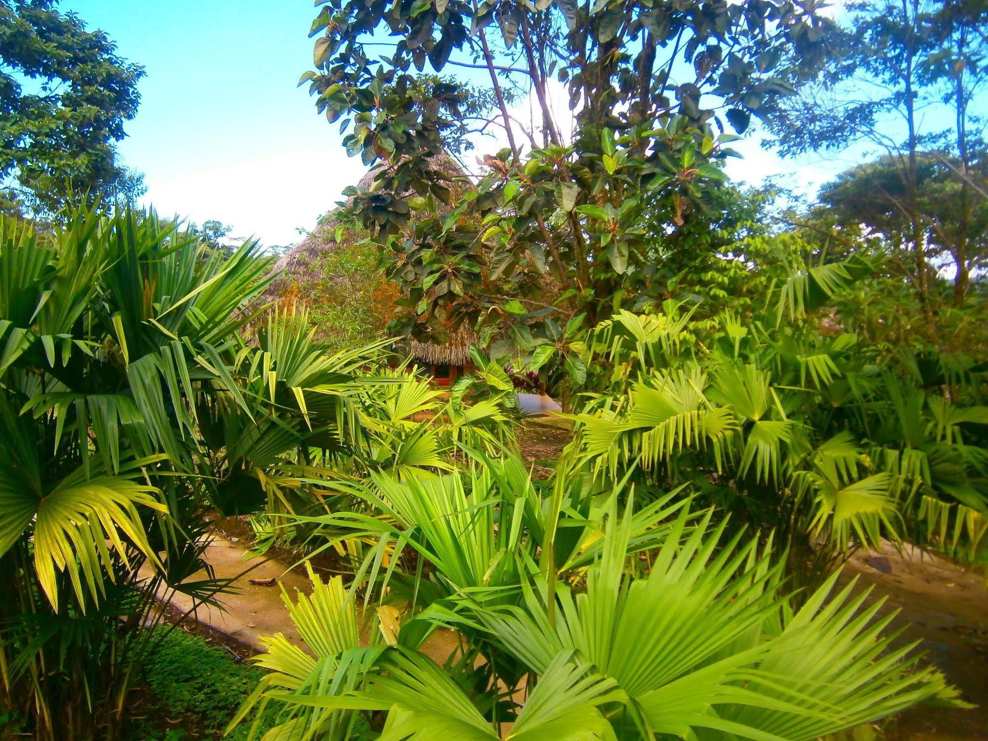 Huasquila Amazon Lodge Cotundo Exterior photo